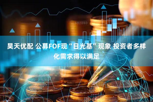 昊天优配 公募FOF现“日光基”现象 投资者多样化需求得以满足